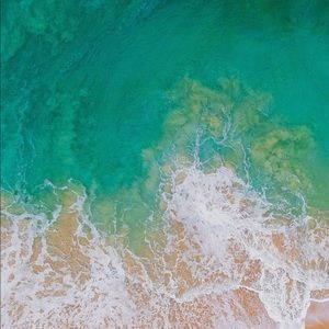 Meet your Posher, Jonathon